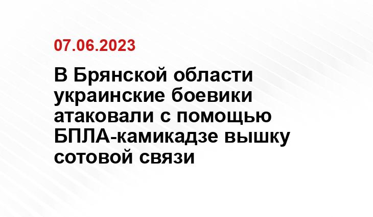 В Брянской области украинские боевики атаковали с помощью БПЛА-камикадзе вышку сотовой связи